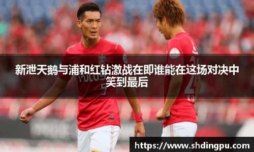 新泄天鹅与浦和红钻激战在即谁能在这场对决中笑到最后